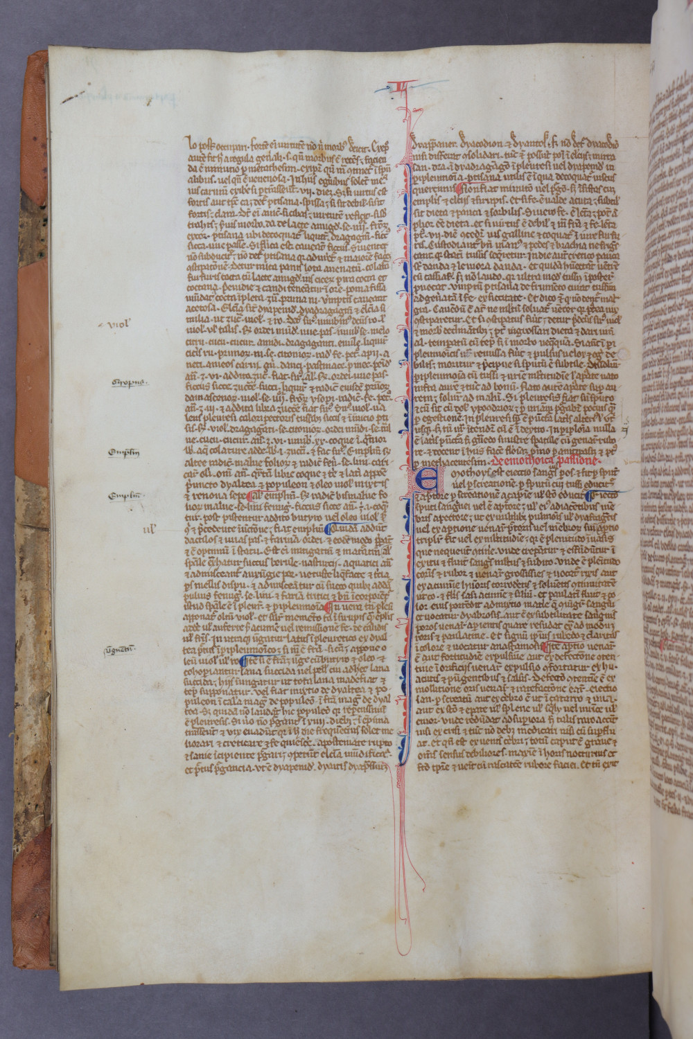 Folio 90 verso